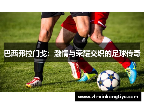 巴西弗拉门戈：激情与荣耀交织的足球传奇